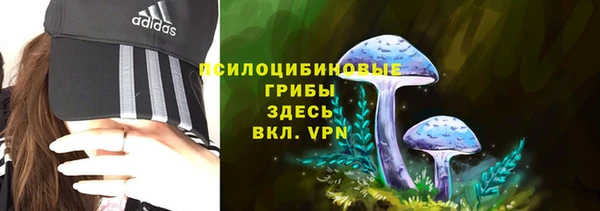 метадон Армянск