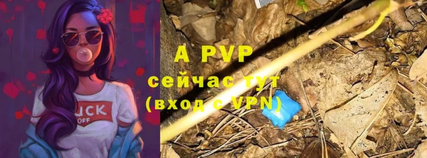 ПСИЛОЦИБИНОВЫЕ ГРИБЫ Куйбышев