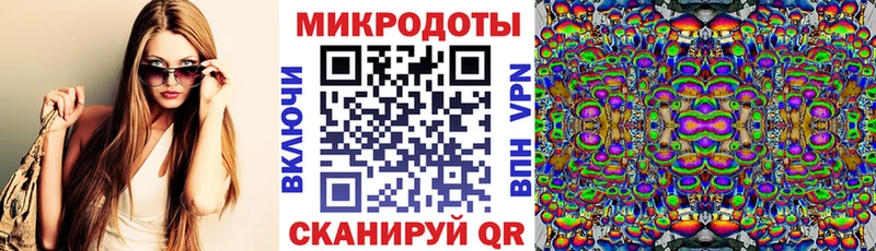магазин продажи   Артёмовск  Псилоцибиновые грибы Psilocybine cubensis 